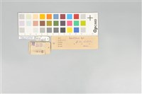 五色鳥藏品圖，第21張